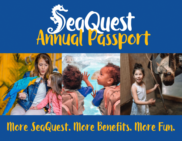 SeaQuest Annual Passport Membership Product Photo